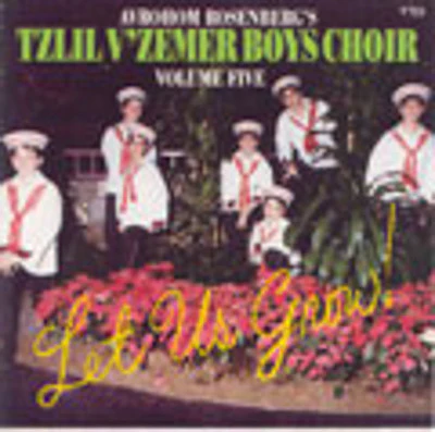 Tzlil Vzemer - Volume 5 Let Us Grow