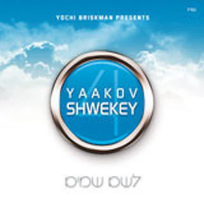 Yaakov Shwekey - L'Shem Shomayim