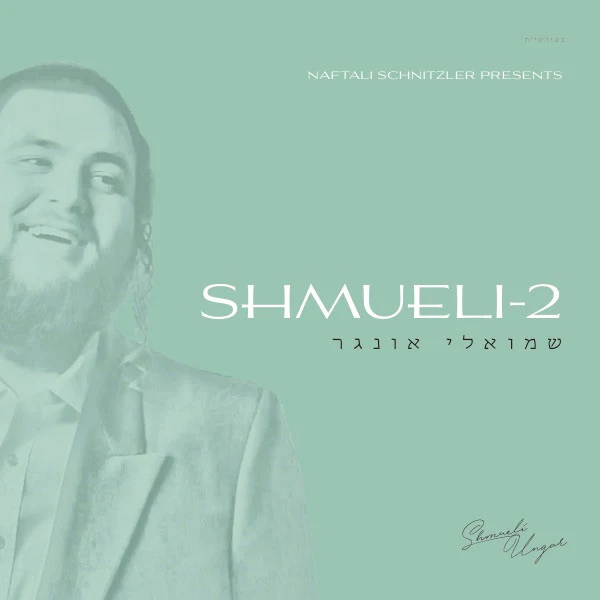 Shmueli-2 - Image 2