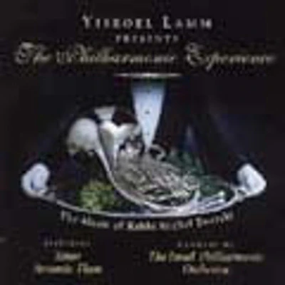 Yisroel Lamm - The Philharmonic Experience 2